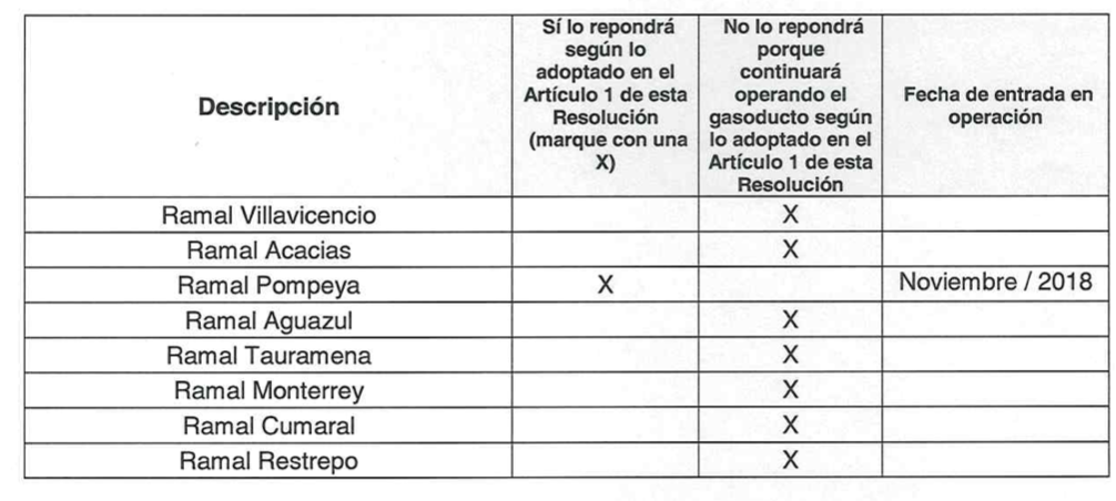 Imagen 8
